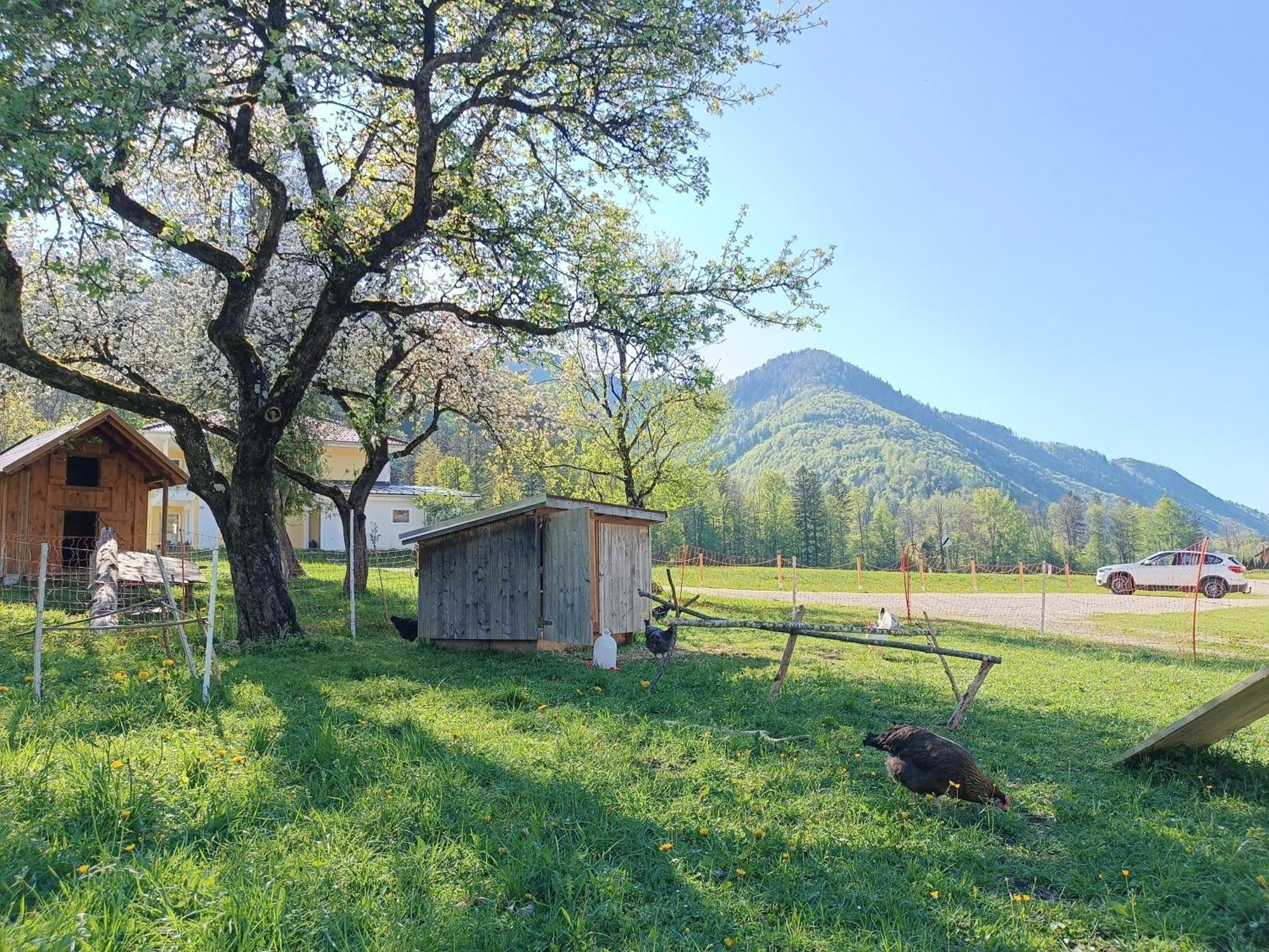 Hintererhof Appartement Hintersee Buitenkant foto