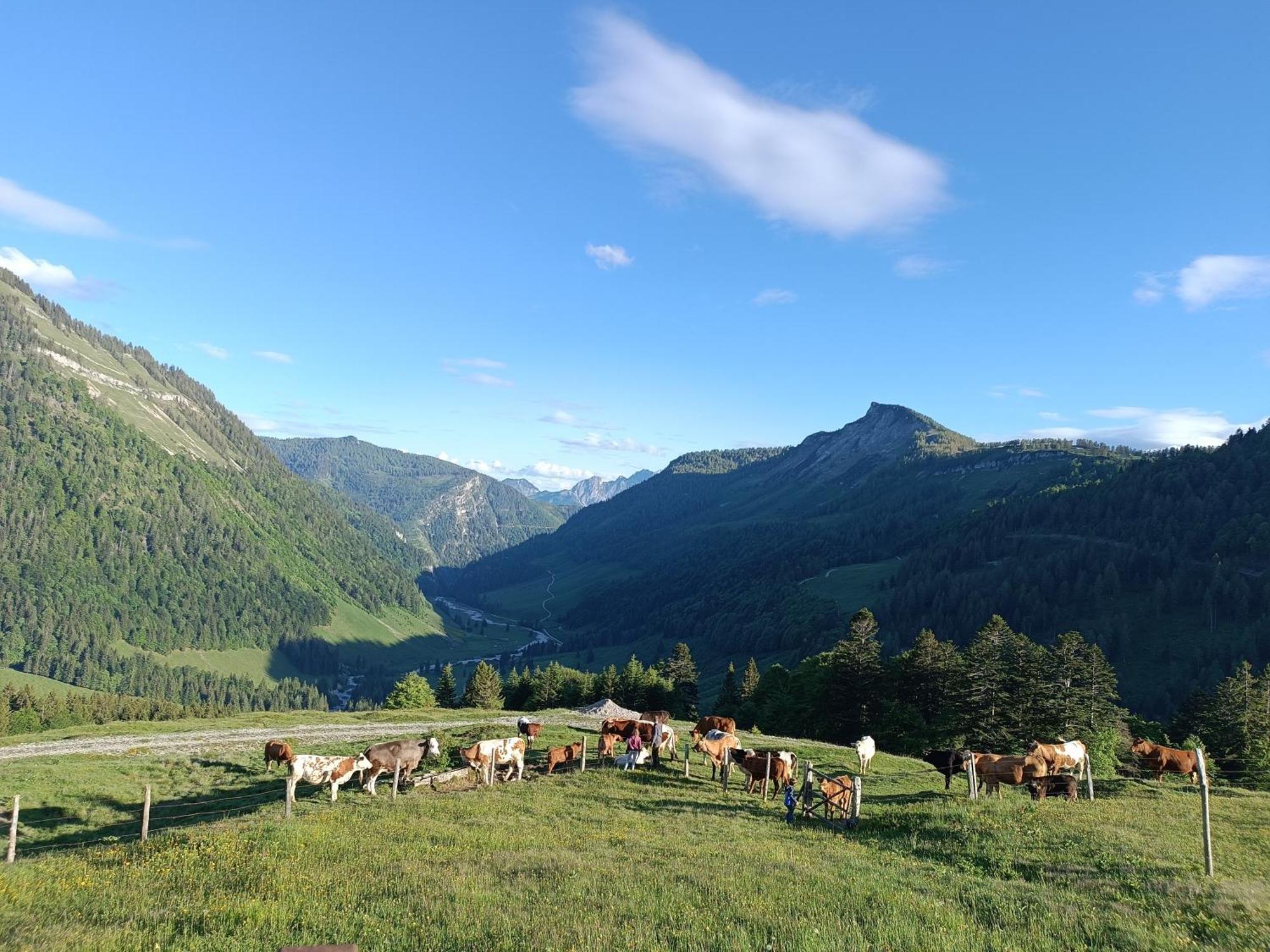Hintererhof Appartement Hintersee Buitenkant foto